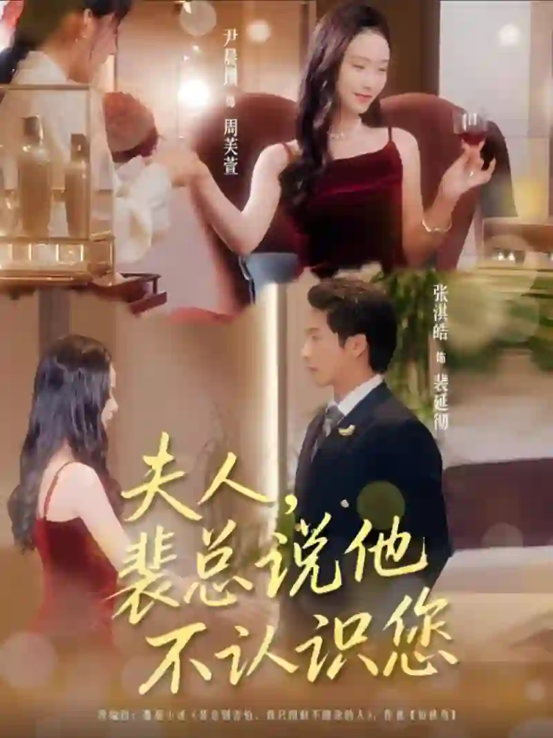 夫人裴总说他不认识您