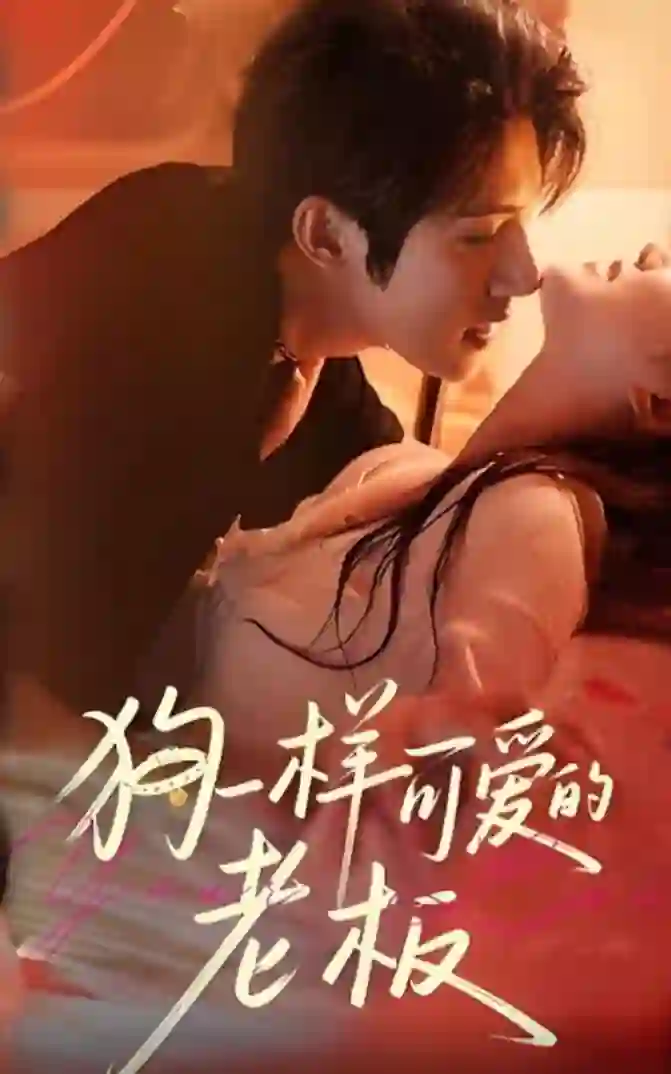 狗一样可爱的老板